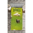 thumbnail image 3 of Ambesonne Nature Quilted Bedspread Set 2 Pcs, Black Sheep White Goats, Twin Size, Fern Green Cream, 3 of 3