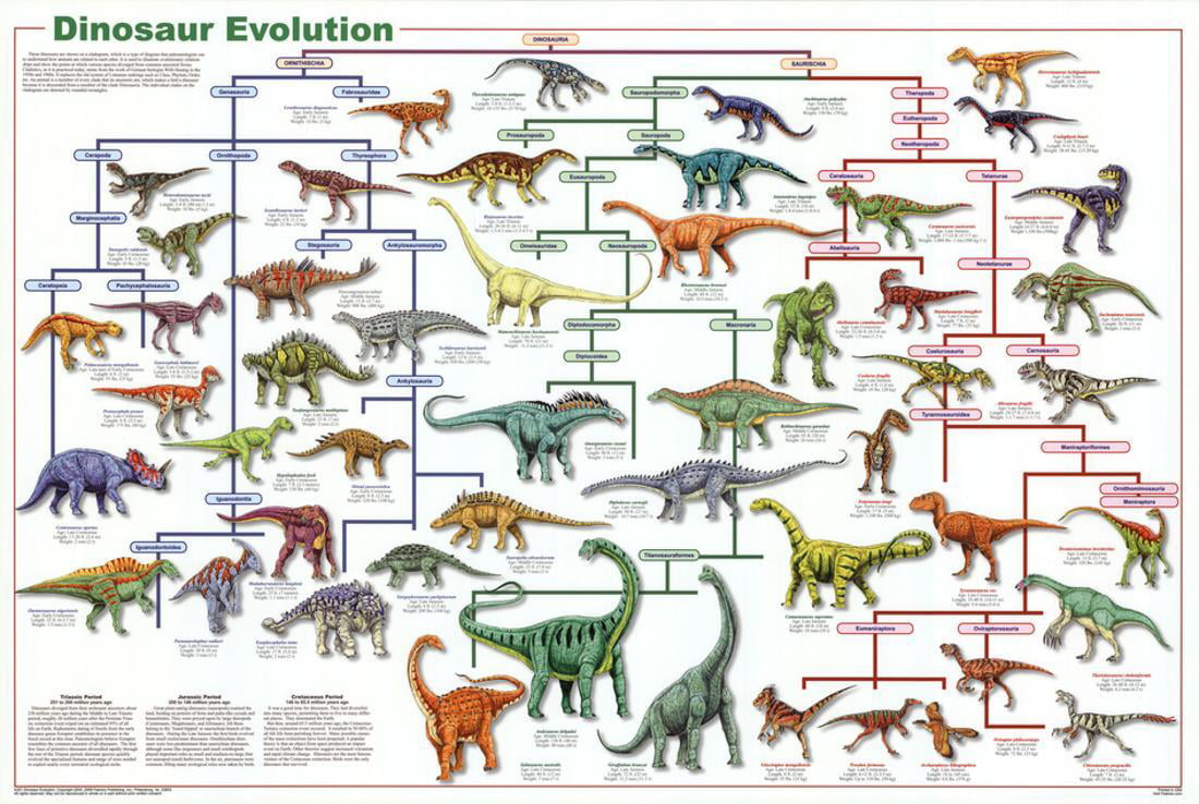 Dinosaurs Wall Chart Educational A4 Laminated Educational Poster 