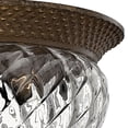 thumbnail image 5 of Hinkley Lighting - Plantation - 2 Light Small Flush Mount in Traditional-Glam, 5 of 9
