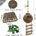 thumbnail image 3 of Casa de Coco para Reptiles con Escalera para Gecko Crestado y Lagarto, 3 of 7