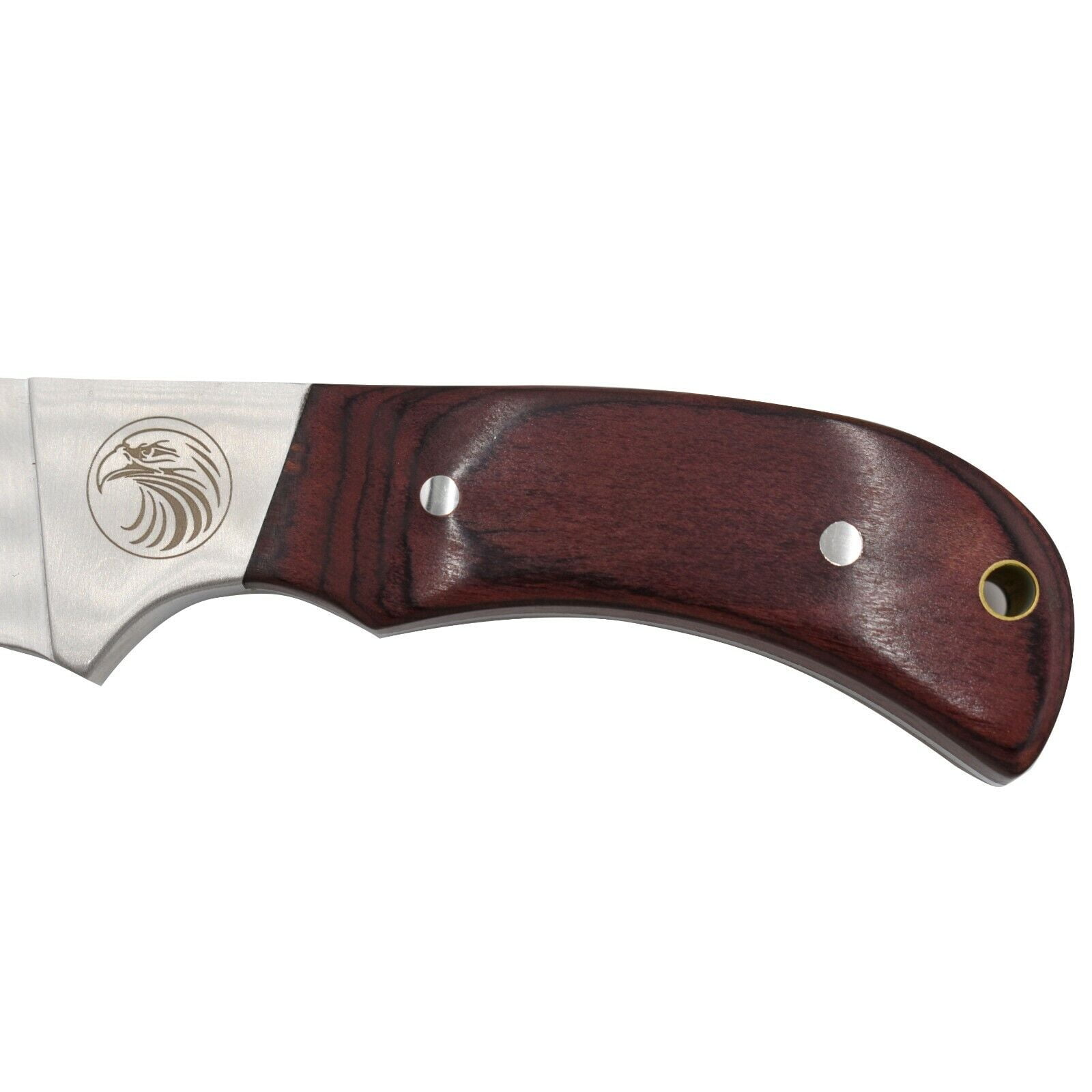 Wild Turkey Handmade 8'' Wildlife Collection Fixed Blade Hunting Knife w. Sheath