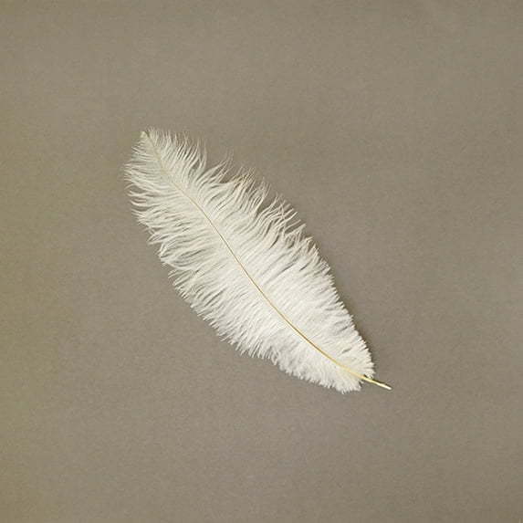 Zucker™ Ostrich Feathers - Drabs - 9 -12" - Ivory