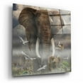 thumbnail image 2 of Epic Art 'Mighty Elephant' by Enright, Acrylic Glass Wall Art, 12"x12", 2 of 8