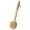 A, variant on Natural Wild Boar Bristle Body Exfoliating Brush - Wooden Back Scrubber for Dry Brushing & Shower Exfoliation