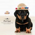 thumbnail image 3 of KAKOWELY Dog Cooling Hat Multi Plush Ball Pet Hat for Daily Use 1 Pcs, 3 of 8