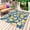 Blue, variant on Watercolor Lemons Outdoor Rug for Patio/Deck/Porch, Non-Slip Large Area Rug 3 x 5 Ft, Summer Farmhouse Blue Floral Indoor Outdoor Rugs Washable Area Rugs, Reversible Camping Rug Carpet Runner