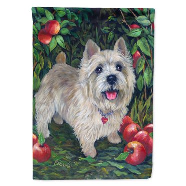 Caroline's Treasures SS8893GF Bandera De Norwich Terrier Para