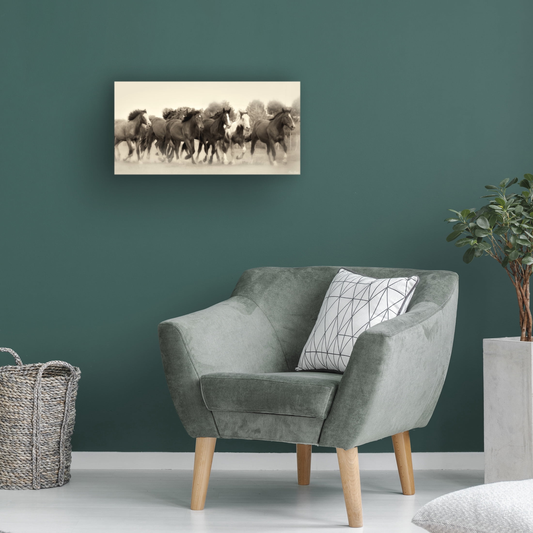 Trademark Fine Art David Drost  Running Free Canvas Wall Art