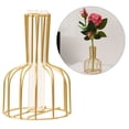 thumbnail image 1 of AMERTEER Glass Propagation Station with Metal Frame  Gold Flower Vase  Test Tube Vase for Hydroponic Plant  Small Bud Vase for Home Kitchen Office Table Top Decor，6in, 1 of 9