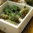 thumbnail image 3 of PBPBOX Green Suction Cup Reptile Tank Plants for Turtle Habitat Decorations and Climbing, 3 of 6
