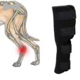 thumbnail image 2 of Funda protectora para la articulación de la pierna de perro shaofei compresión de apoyo XL, 2 of 3