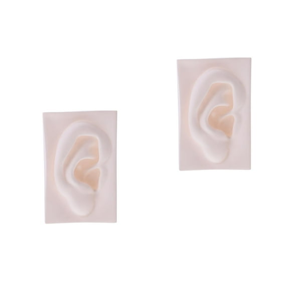 Hemoton 2 pcs Sketch Art Model Students Painting Sculpture Home Vivid Organ Sculpture Decoration