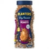 PLANTERS Dry Roasted Bold and Savory Peanuts, Party Snacks, Plant-Based Protein, 16 oz Jar