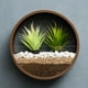 thumbnail image 5 of Macetero colgante florero decoración 20cm_marrón Gloria Jardinera para colgar en la pared, 5 of 8