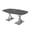 Asian Night w/Silver Base with Electric, variant on 4X6 Arc Boat Conference Table with X Base Data And Electric Unit