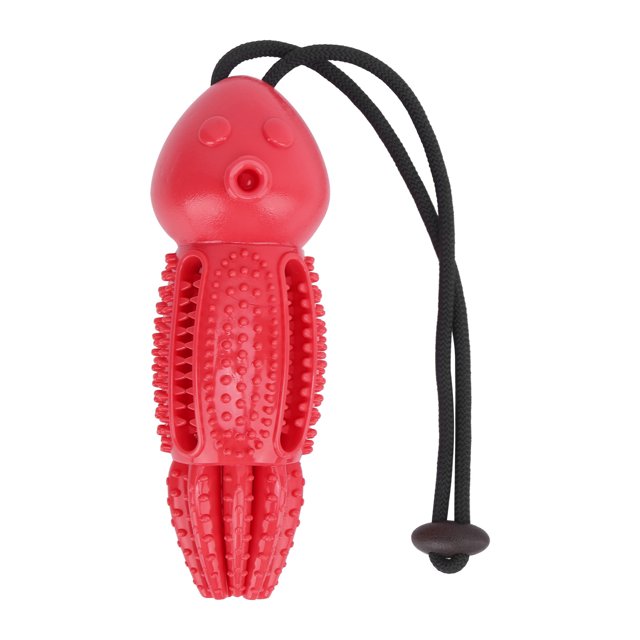 Juguete para cepillo de dientes para perros, resistente a las mordeduras, limpieza de dientes, juguetes para masticar para perros pequeños y medianos (rojo)
