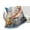 DCCJX1chudan-1XN, variant on Cute Dragon Baby Flannel Throw Blanket for Gifts for Women Men Girls Boys All Seasons