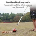 thumbnail image 4 of Golf Nut Picker Pecan Picker Garden Rolling Nut practical golf Harvester Adjustable Nut Picker, 4 of 7
