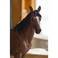 thumbnail image 2 of STANDING HORSE, 2 of 3