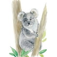 thumbnail image 2 of Markelova, Elena 17x24 White Modern Wood Framed Museum Art Print Titled - Baby Koala, 2 of 4