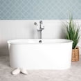 thumbnail image 1 of Miller 59 Inch Cast Iron Double Ended Skirted Tub, 1 of 1