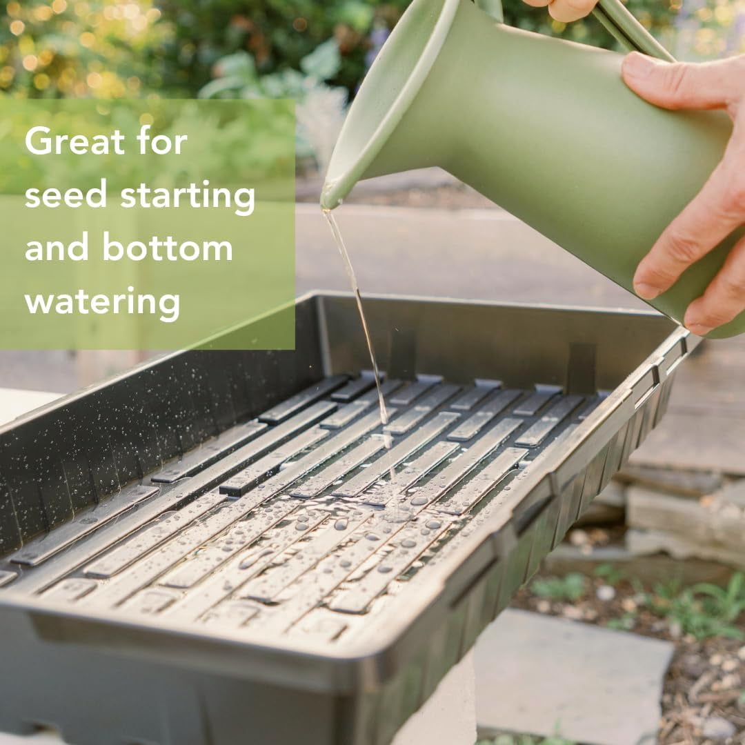 1020 Trays - Extra Strength No Holes, 10 Pack, for Propagation Seed Starter, Plant Germination, Seedling Flat, Fodder, Microgreens