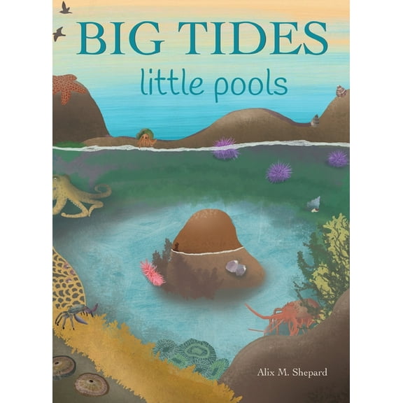 Big Tides Little Pools, (Hardcover)