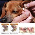 thumbnail image 4 of Ear Cleaner for Cats and Dogs, Ear Milk, Ear Milk Oil, Cat and Dog Ear Cleaner, Anti-Itching, Nodding, Mites and Impuritieswith 10pcs Cotton Swab, 4 of 4