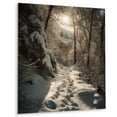 thumbnail image 2 of Designart "Path Through the Frosty Snow Forest III" Landscapes Metal Art Living Room, 2 of 5