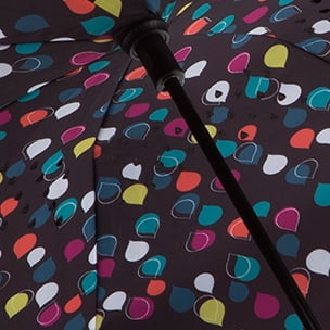 Raindrops