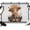 Brown, variant on 7x5ft Photo Backdrop, Cute Elephant Soft Polyester Backdrop Curtains Photography Backdrops, Funny Sunflowers Animal Welcome Sign Linen Brushed Background for Photoshoots Studio Video Portrait Parties