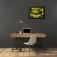 thumbnail image 4 of Underdahl, Dana 24x18 Black Modern Framed Museum Art Print Titled - Water Lily Turtle, 4 of 5