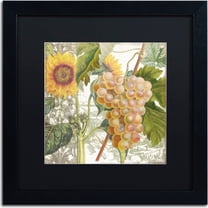Trademark Fine Art "Dolcetto IV" Canvas Art by Color Bakery, Black Matte, Black Frame