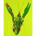 thumbnail image 4 of Old Glory Mens Mardi Gras Crawfish Long Sleeve Graphic T Shirt, 4 of 6