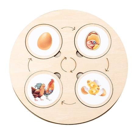 Godderr Toddler Toys Wooden Puzzles for 3+year Old Girl Kids Boys Toys Animal and Plant Life Cycle Block Pegged Puzzles