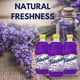 thumbnail image 3 of Cleaner Fabuloso, multiusos, aroma a lavanda, paquete de 3, 3 of 7