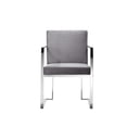 thumbnail image 6 of Pangea Home Dexter Arm Chair Velvet Silver, 6 of 6