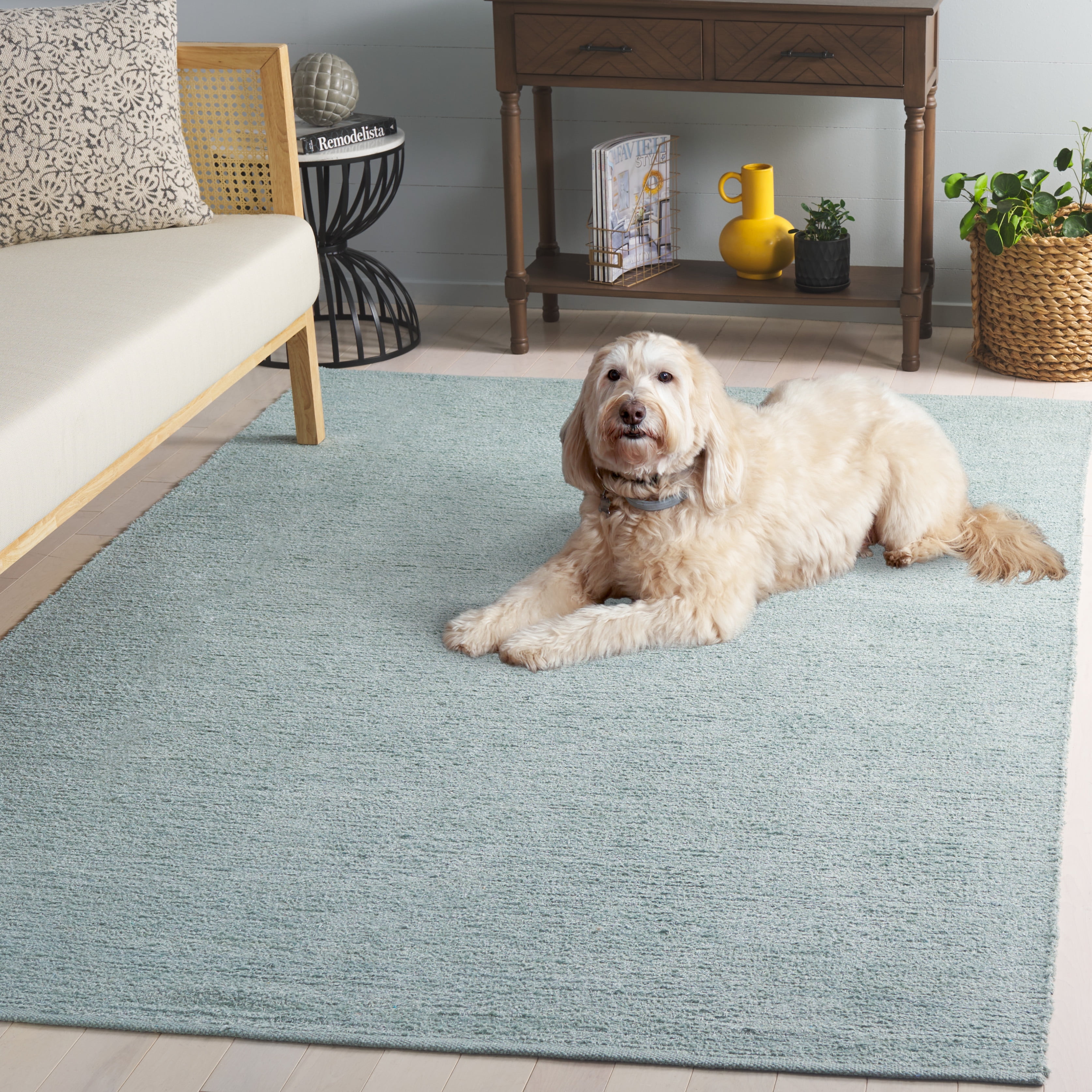 SAFAVIEH Montauk Azura Distressed Area Rug, Turquoise, 4' x 6'