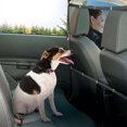 thumbnail image 2 of CAROOTU Durable Universal Pet Dog Net Car Safety Dog Barrier Mesh Protector, 2 of 6