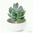 thumbnail image 1 of Succulentes Réalistes pour la Maison et Arrangement Succulent dans un Design Minimaliste Moderne pour Salon et Exposition Intérieure DIY, 1 of 4