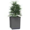 thumbnail image 3 of vidaXL 11.8"x11.8"x14.6" Black Polypropylene Solid Print Movies Planter Boxes 2 Count, 3 of 7
