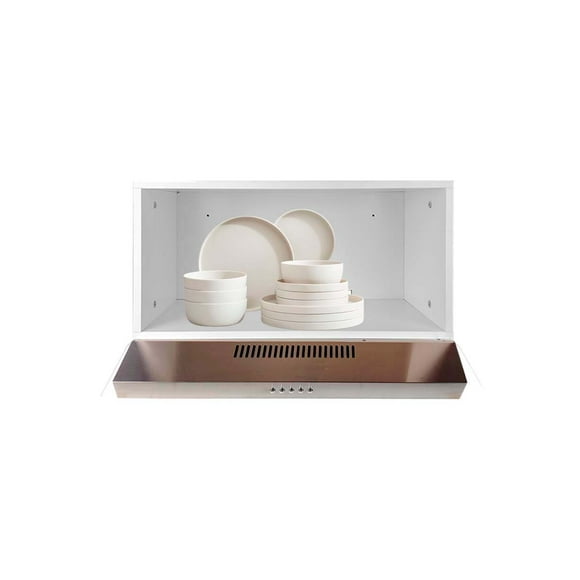Campana Extractora De Cocina TULIPAN Con Alacena
