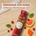 thumbnail image 5 of Desodorante en Spray Old Spice para hombre Paradise 96 g /150 ml, 5 of 5
