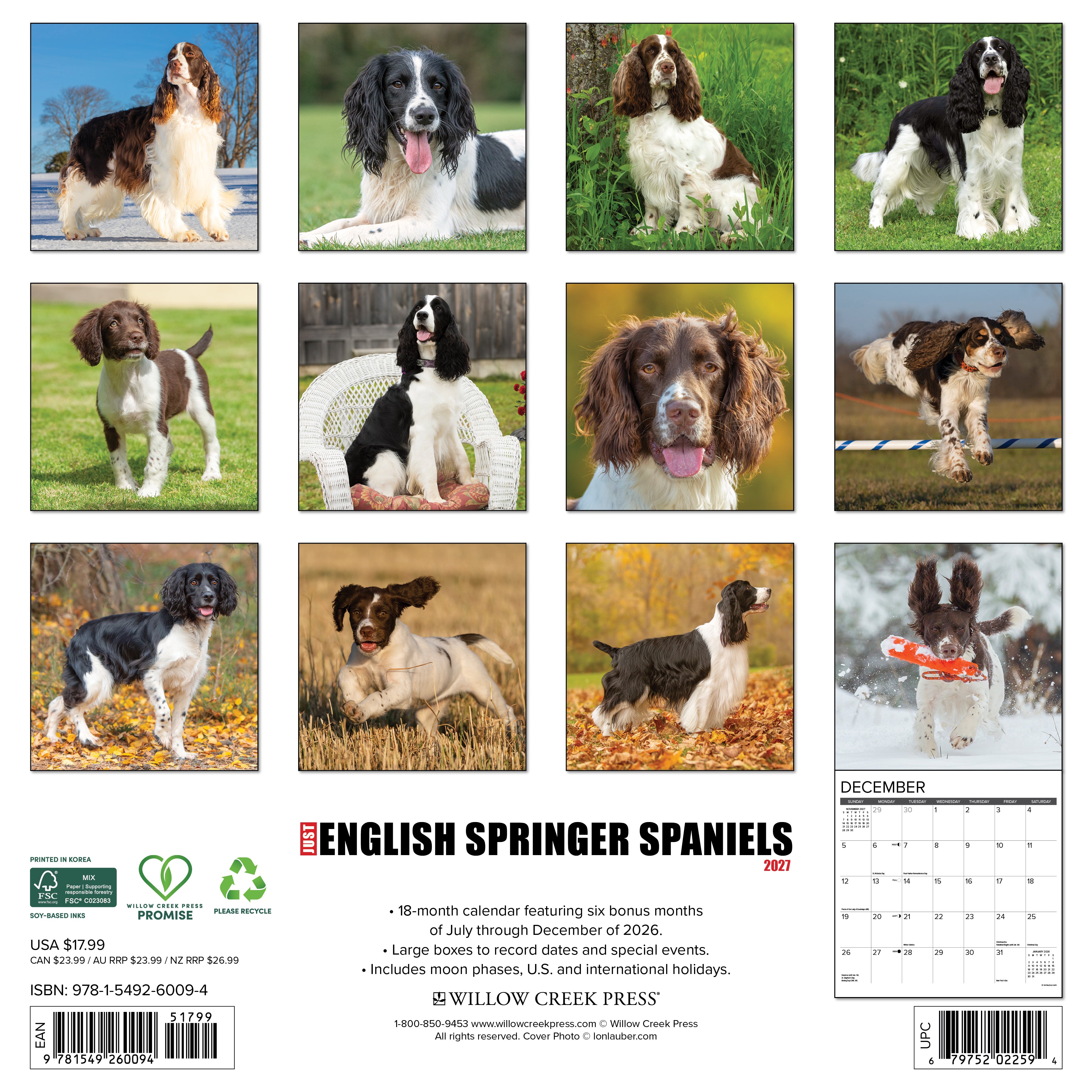 Willow Creek Press, English Springer Spaniels 2027 Wall Calendar