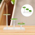 thumbnail image 1 of IDEANATEGRATE Plataforma Resistente Para Basking De Reptiles En Hábitats Con Espacio Para Escalar Y Descansar, 1 of 7