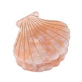 thumbnail image 2 of QIQUWOHUL Seashell Pearl Hairpins Side Bangs Hair Clips Headwear Styling Tools Hair Accessories Beach Hair Barrettes, 2 of 3