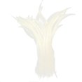thumbnail image 5 of Maoww Plumes de Queue de Coq Teinture 10 Pcs Blanc, 5 of 5