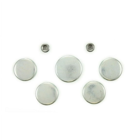 Pioneer PE111 Engine Expansion Plug Kit