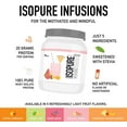 Isopure, Infusions 100 Whey Protein Isolate, 20 g Protein Powder, Mango Lime, 14.1 oz, 16
