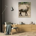 thumbnail image 3 of Dana Underdahl 28x38 Gallery Wrapped Canvas Wall Art Titled - Safari Waterbuck III, 3 of 4